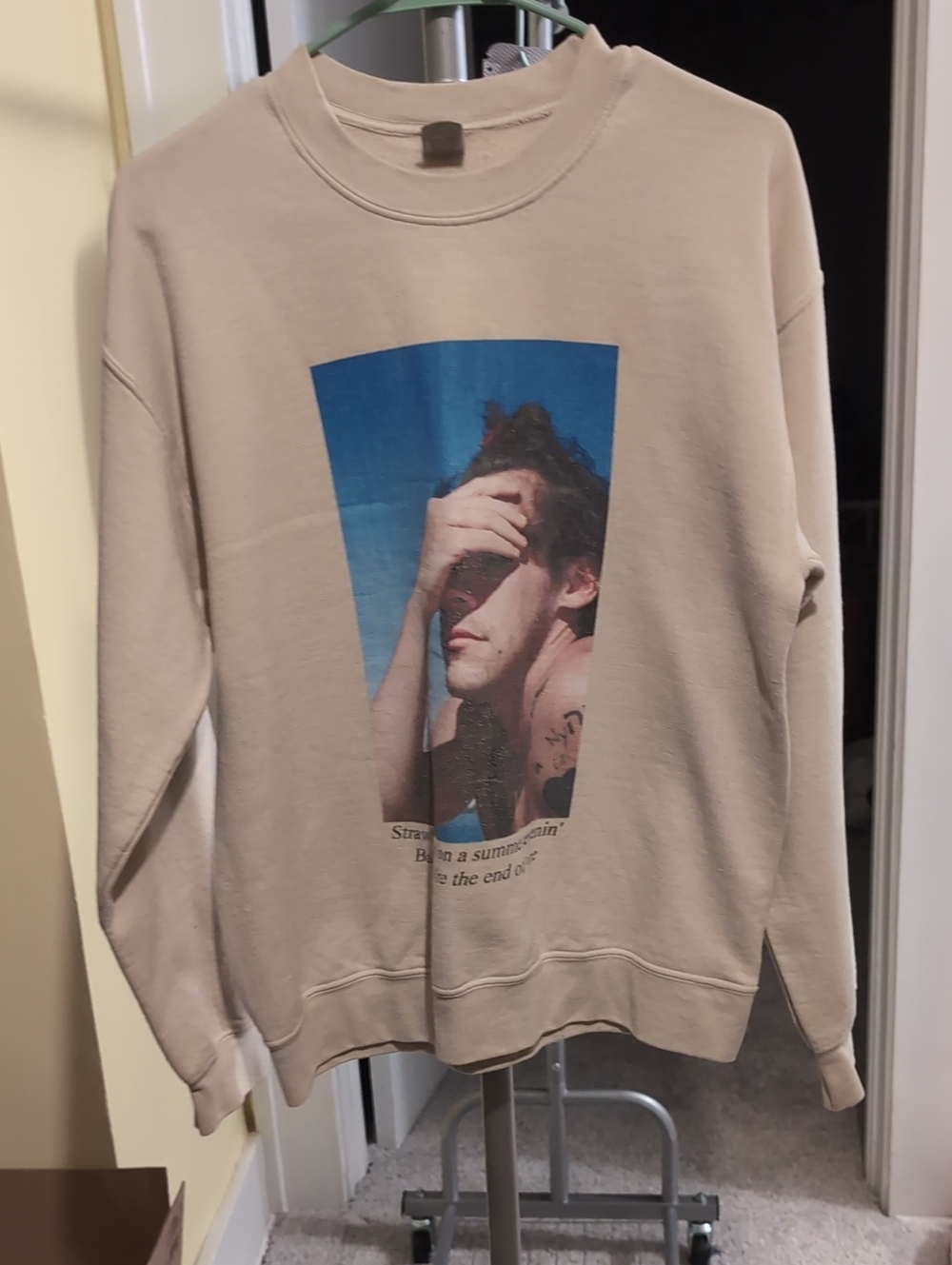 Gildan Beige Crew Sweatshirt with Blue Photographic Print